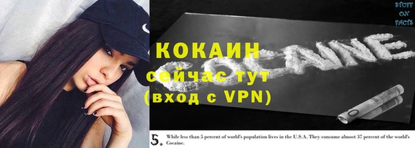мет Карпинск